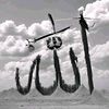 user7680000549284