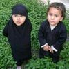 الشاهين Syrian