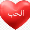 amer.meeroo