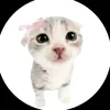 user6824050178177