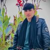 aimal2460