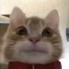 jojoyyfullmichh__25