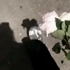 mmmtppp8