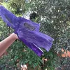 alice_dragons_pup