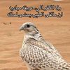 ابراهيم l Ebrahim