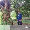 abang02223