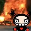 pucamaagaru