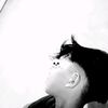 vidzz381