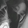 flwrs_zaa2