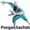 pongan_bachata360