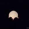 bubbles_2274