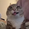 🤪