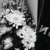 nyenyelifeupdate
