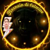hasnaing037