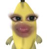 xyz.puttt22