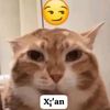 rizz_tzy7