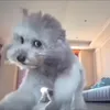 a4ta4noukanaaaaaaa