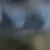 surronbeast