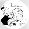 AVENIR BRILLANT