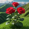 user5907945006762