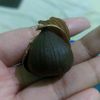 bilaw_86