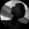 brigik_7