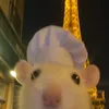tt_fluffyyy