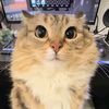 usergclnb36wws