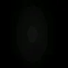 ______dinoo______