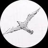 rrromman159