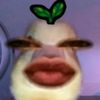 dvrmdni_