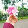 tryatun34