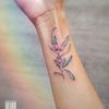 olive_branch3190