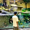 nobita.nobi7385