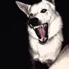 lillyyhi