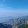 acvfooc