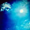 user15880067076173