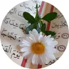 user8115824861846