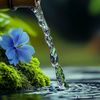 waterboy6157