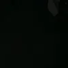 melowz_