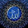user9455663027752