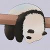 sleepingpanda1495