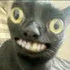bin_bean_been