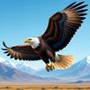 user31074780847508