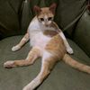 imo_783