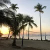 rose_gvs0