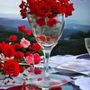 ahmed.khamis195