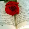 maher.kahtan