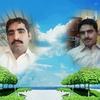 ajaz.hussain18