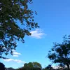 aj_83917